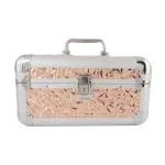 Clarabae Vanity Box for Women Makeup Organizer Box Clip-and-Go Makeup Bag with Two Tray & Mirror Mechannical Closure Professional Travel Makeup Case Portable Artist Cosmetic Organizer Storage Bag (Rose Gold)