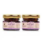 UPAKARMA Ayurveda 100% Ayurvedic, Original & Pure Shilajit/Shilajeet Resin Form with Ashwagandha to Boost Performance, Power, Stamina, Endurance, Strength & Overall Wellbeing For Men and Women - 20g (Pack of 2)