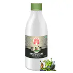 Divya Shri Ayurvedic Respocare Ayurvedic Cough Syrup For Improve Respiratory System With The Goodness Of Amla Karela Giloy Alovera | Asthma Relief Products- Pack Of 1 (500ml)