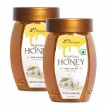 DR MOREPEN HONEY MULTI FLORA 250GM - PET JAR PACK OF 2