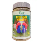 Divya Patanjali DIVYA GOKHRU KWATH 100 GM (JAR)-T