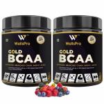 WellsPro Gold BCAA 4:1:1 Mix Berry Powder 250 g (Pack of 2)