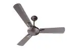 Havells Festiva ES 1200mm Ceiling Fan (Espresso Brown, Pack of 1)