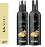 Desi Crew Ginger Hair Oil for Anti Hair Loss Treatment 100 ml (pack of 2)