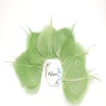 Palesaa SHADED NATURAL SKELETON LEAVES FOR CRAFT DECOR DIY PACK OF 50 COS JADE GREEN Artificial Plant (10 cm, Green)