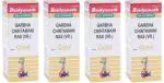 Baidyanath (Jhansi) Garbha Chintamani Ras (Vr.) with Gold Tablet (4 Packs, 25 Tablets in Each Pack)