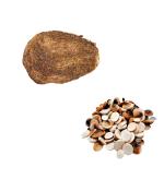 PMW - Ekakshi Nariyal + 11 Gomati Chakra - Vastu & Fengshui - Combo Offer -1 Piece