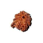 Feel Touch Mart 8 Muhki Awesome Original Nepal Rudraksha Ganesh Beads by Lab Certified