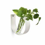 iCraft White Metal Ring and Two Test Tube Planters Connected with Metal Studd (3 Items)