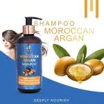 ZEBA & BEAUTY Moroccan Argan Shampoo Deeply Nourish Prevent Frizziness & Dryness Anti Dandruff And Anti Hair Fall - 300 ML