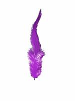 Tiptop Decoration Natural Dyed Pointed Feathers (10-15 cm) (50 Pieces) (Purple)