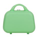 Polo Class Vanity case / makeup box - Green