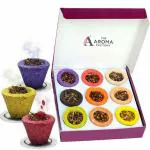 The Aroma Factory Sambrani Dhoop Cup, Mix 9 Fragrances Multi Color (Sandalwood, Lavender, Rose, Jasmine, Chandan, Gugal, Loban) 9 Cups x 1 Box