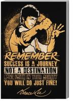 Surmul Multicolor Sunboard Medium Bruce Lee Wall Decor Color Poster For Living Adhesive Sticker