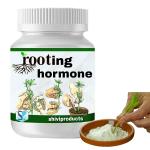 Shiviproducts Rooting Hormone Powder for Plants Cuttings Promotes Rooting and Growth 100 g (pack of 2)
