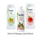 SRI SRI TATTVA Shuddhta ka naam Multipurpose Shampoo Family Pack ( 600 ml )