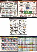 PMW - Primary Education For Kids - 5 Charts For Kids - Wall Hanging Charts - Human Body, Transport, Tables, Birds, Numbers - 18 Inch X 24 Inch