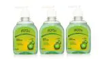 Froton Green apple Handwash Liquid - 250ml Pack of 3