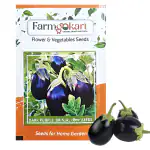 Farmgokart |10 Gms BRINJAL (BEGAN ,EGG PLANT )- ROUND PURPLE SEEDS |for Home Gardening , Farming , Hydroponics and Poly Houses|