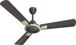 Havells Astura ES 1200mm Ceiling Fan (Brown Gold Mist, Pack of 1)