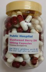 Blushwood Berry DH Herbal Supplement Capsules 60 Caps Jar - DoctorKC Herbal