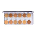 C2P PROFESSIONAL MAKEUP COVER & CONCEAL SUPRA BASE PALETTE (METAL) - 28 g