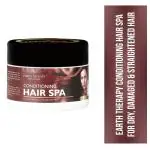 EARTH THERAPY Hair Spa Professional Salon Conditioning Hair Treatment Deep Repair Nourishing at Home