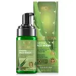 WOW Skin Science Aloe Vera Foaming Face Wash - with Aloe Vera Extract & Vitamin B5 - for Cleansing & Hydrating Skin - No Sulphate, Parabens, Silicones, Fragrance & Color - 100mL