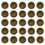Triveni Organics Gir Cow Dung 11 Pcs Diya | 100% Eco Friendly & Organic Cow Dung Diyas are used for Religious Ceremonies, Festivals (11)