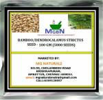 MGBN THE PATH FOR THE HEALTHIER LIFE WITH BEAUTY Bamboo, Dendrocalamus Strictus Seed - 100 g (5000 Seeds)