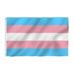 The Flag Company Transgender Flag - Pink Blue Rainbow Flags- 3 Ft X 5 Ft Rectangle Outdoor Flag Flag (Polyester)