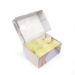 PANCHI KA PETHA AUR DALMUT Authentic Agra Petha - Traditional Indian Sweet Deligh | 1 kg