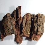 Xetomos Kachnar Bark bauhinia variegata 100gms