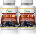 Prirupam Shilajit _30 Capsule (Pack of 2)