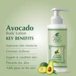 Khadi Ark Avocado Body Lotion Skin Moisturizer for Soft & Smooth Healthy Skin (Pack of 2, 300 ml Each) 600 ml