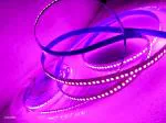OTS Lights 240 LED per Meter LED Flexible Strip Cove Light Driver/Adaptor NOT Included (Purple)