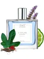 EM5 Perfume For Men V Dylan Eau De Parfum Strong And Long Lasting Aromatic Woody Fresh, 50 ml