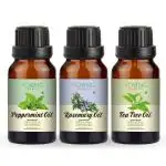 Young Chemist Peppermint,Rosemary and Tea Tree Body Wash Hair Growth and Aromatherapy for Hair 45 ml Pack of 3
