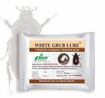 Green Revolution Organic Grub Pheromone Lure for Controlling Holotrichia consanguinea 50 x 50 x 50 ml (pack of 20)
