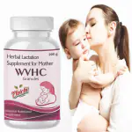 EIBHC Booster Supplement Healthy & Breast Milk Increase Supply Powder 200G