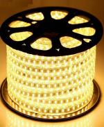 Astern Gold Rice Lights 1200 LED/10inch