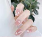 Secret Lives Acrylic Press on Artificial Designer Fake Nails Extension Matte Baby Pink Golden Pearl and Flower Design 24 pcs Set with Glue Sheet