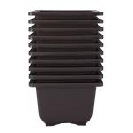 Kyaaro Brown Plastic Bonsai Pots (Pack Of 3)