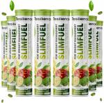 RESILIENCE NUTRITION SLIM FUEL Effervescent Tablets