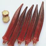 PUNARVA Burgundy Okra Seed Seed (Pack Of 1000)