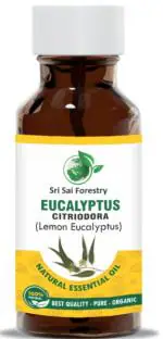 SRI SAI FORESTRY Lemon Eucalyptus Oil (Eucalyptus Citriodora) - 40 ml