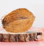 BHAKTI 2 SHAKTI MAKING WORSHIP SPECIAL- Pooja Nariyal | Rich Watery Worship Coconut | Whole shri phal | Used for Pooja Ganpati Navratri Diwali Holi Special ocassions (1 pieces)