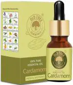 Old Tree 100% Pure and Natural Cardamom Essential Oil 15 ml