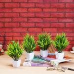 Dekorly Plastic Green Small Artificial Plants In Pot (Pack Of 4)