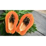 XOLDA Organic Papaya fruit Seed (20 per packet)